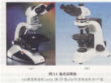 介绍偏光显微镜的用途